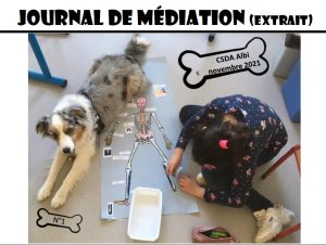Journal de médiation CE1/CE2, CM2 et CSDA
