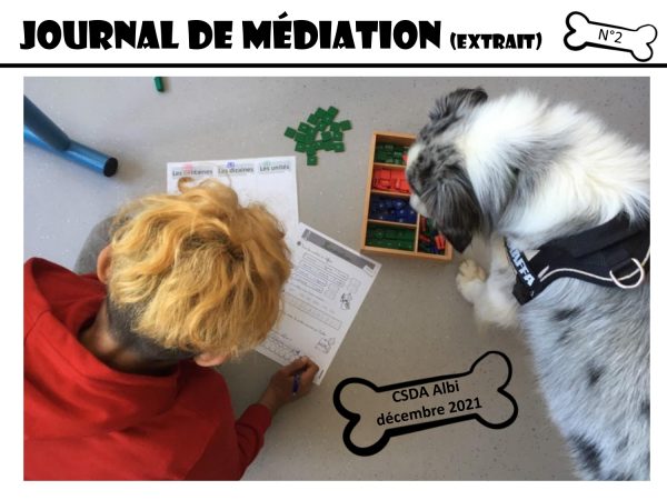 Journal de médiation numéro 2