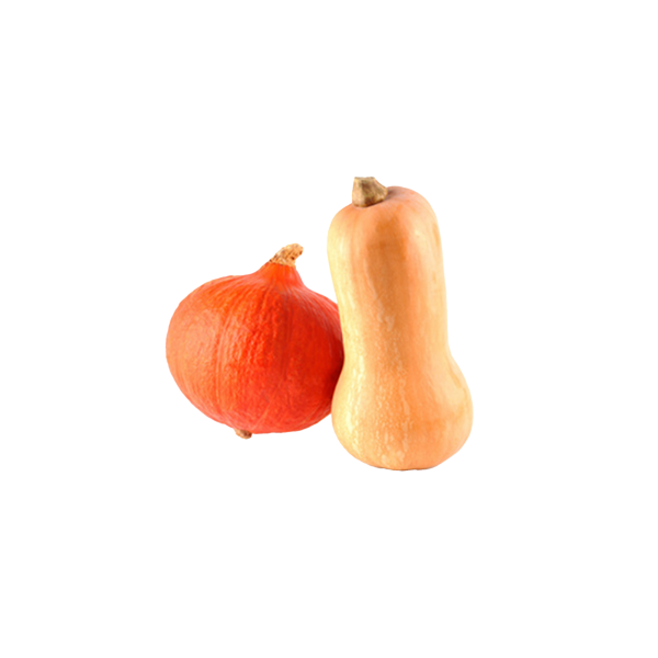 Butternut et potimarron…